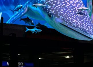 FIRST IN MANILA: A 3D Whale Shark billboard, Space Tunnel, Golden Gateway and Dazzling Light shows- ALL Immersive experiences lead to SM